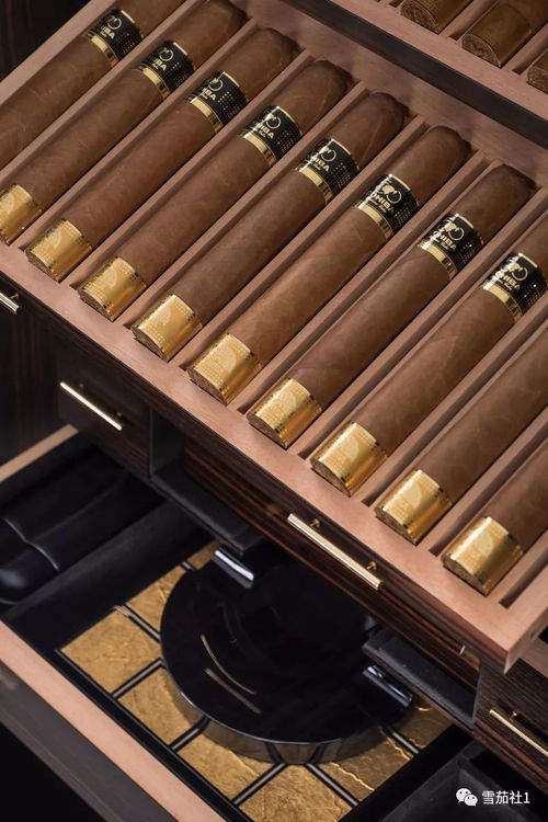 2019年度最贵古巴雪茄售价令人咂舌 单支雪茄3500元一盒35万多元